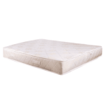 24 Cm  يانسن اكسترا جولد